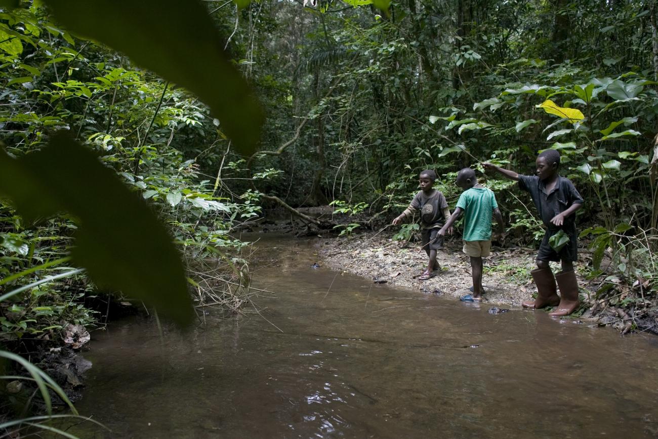 Children in DRC's equatorial forest
